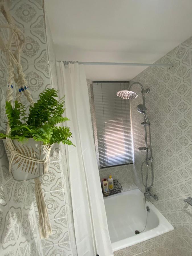Апартаменты Apartamento Cebra Сарагоса Экстерьер фото